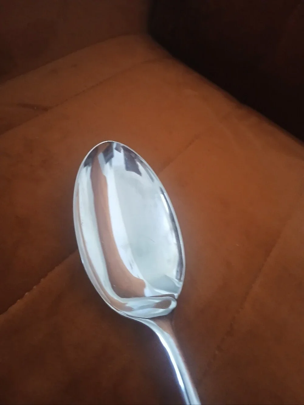 Silver Plated Serving Spoon and Fork Set
